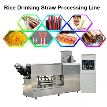 Stainless Steel Twin-Screw Extruder Eco-Friendly Factory Supply Pasta Straw Making Machine Degradable Straw Machine