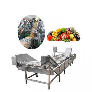 Electric and Gas Instant Drying Stainless Steel Fruit Drying Oven