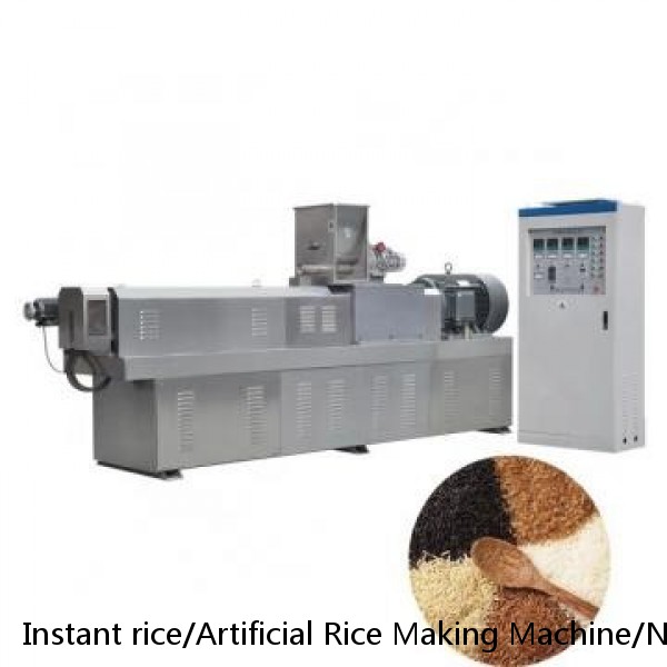 Instant rice/Artificial Rice Making Machine/Nutritional Rice Extruder Machine