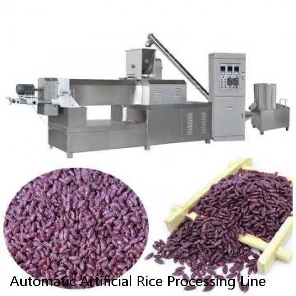 Automatic Artificial Rice Processing Line